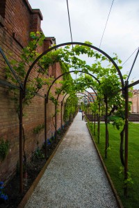 20052015-_DSC8518Carmelitani VenezaiNave Piergiorgio